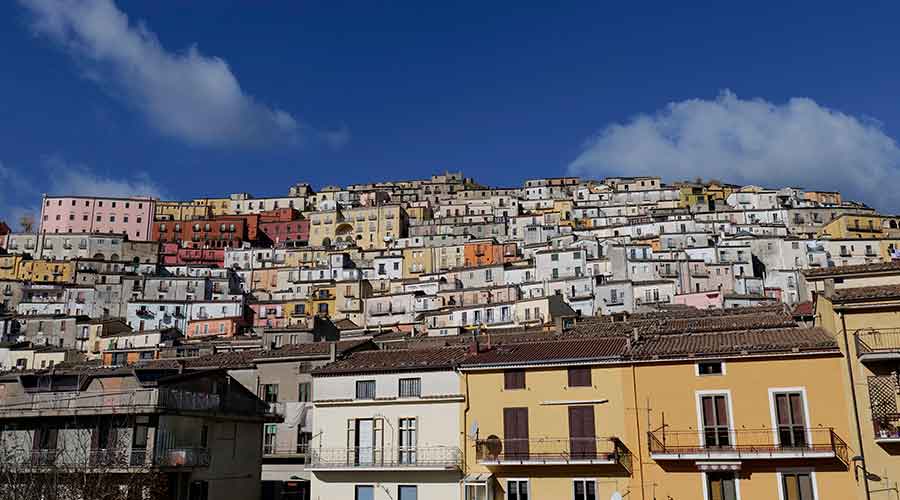 avellino