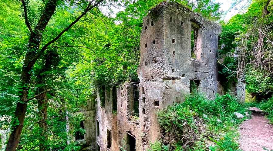 Valle delle Ferriere - Den skjulte regnskov på Amalfikysten